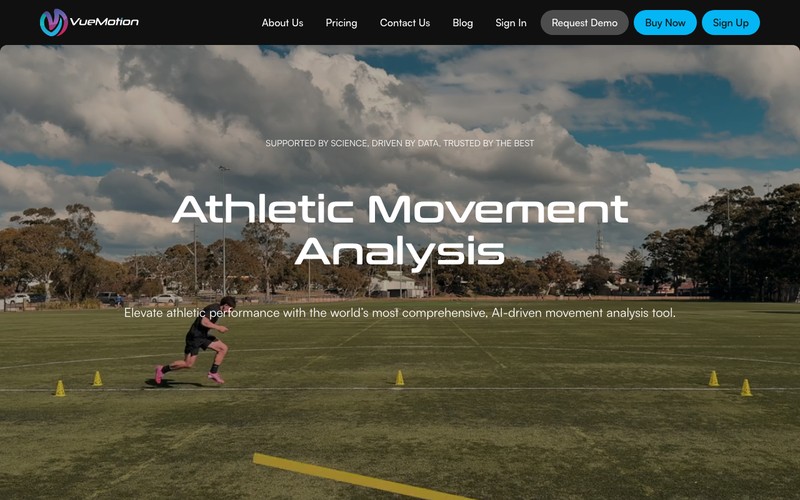 Screenshot of the VueMotion website